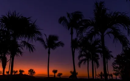 Sleep In 1976 | Relaxing Bedtime Story With Ocean Sounds