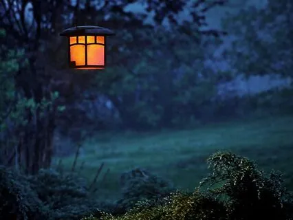 Sleep - In A Secret Garden