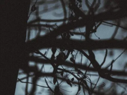 Sleep In Drone Ambient Music