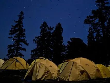 Sleep In Gratitude And Encourage Manifestation