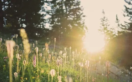 Sleep In Heavenly Peace