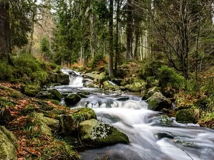 Sleep In Minutes With Soothing River Sounds