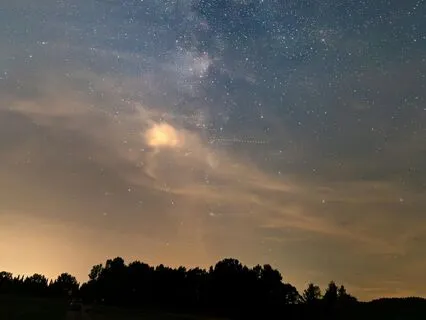 Sleep In Restful Presence