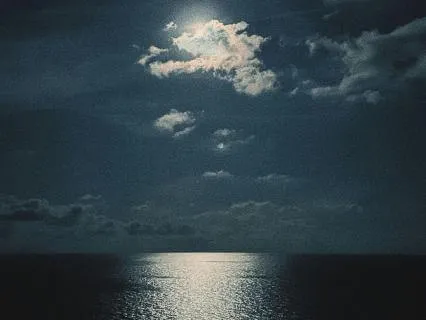 Sleep In The Calm