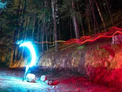 Sleep In The Forest: Ambient Sounds For A Restful Night