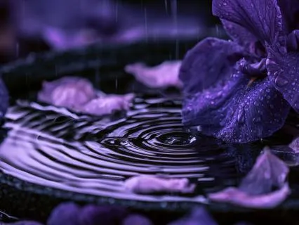 Sleep In The Rain: 432 Hz Ambient Rainfall