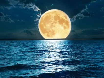 Sleep In Your Moon Garden With Desi Ivanova