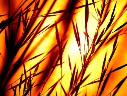 Sleep Induction | Relaxing Neuroacoustic Soundscape