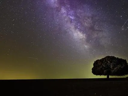 Sleep Journey: A 4-Phase Soundscape For Deep Rest