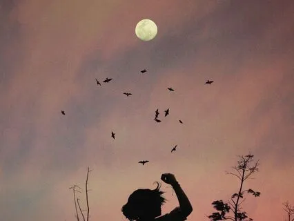 Sleep Journey To Receive Guidance