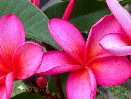 Sleep Like A Baby And Uplevel Your Subconscious