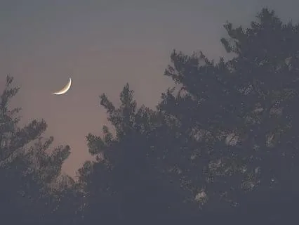 Peaceful Sleep Sound Bath for Deep Sleep, Insomnia & Calm