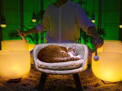 Sleep Like A Koala Sound Bath