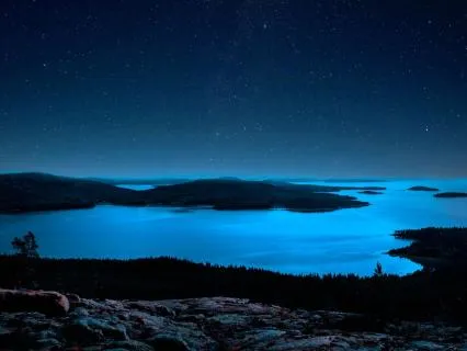 Sleep Like Never Before: Paramahansa Yogananda's Wisdom