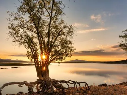 Sleep Like Never Before: With Rumi's Spiritual Guidance