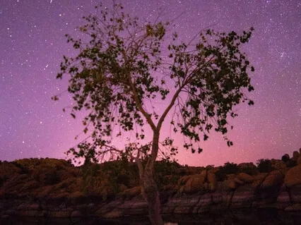 Surrender To Slumber 