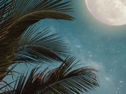 Drift Into A Restful Sleep