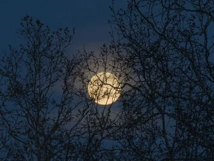 Sleep Meditation: Awaken Rested And Heal Overnight