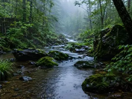 Sleep Meditation By Paradoxical Intention With Rain Sound