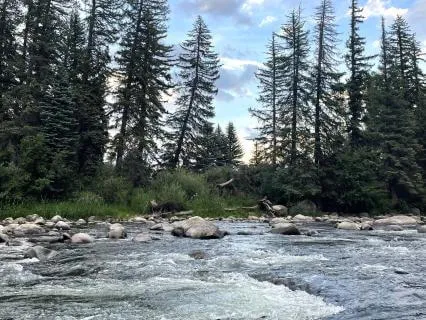 Sleep Meditation: Creekside Calm