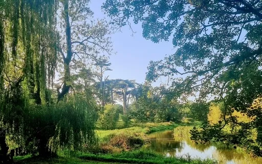 Sleep Meditation: Deep Relaxation And Inner Stillness 