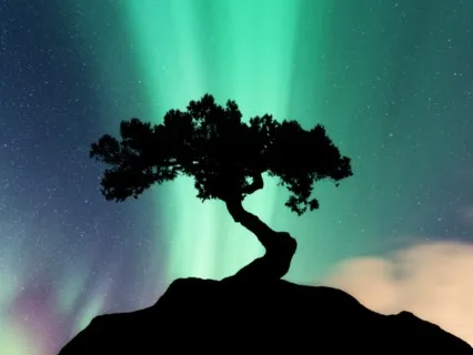 Drift Off To A Peaceful, Deep Sleep