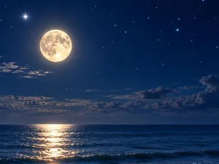 Drift To Sleep By The Sea, Beneath The Stars