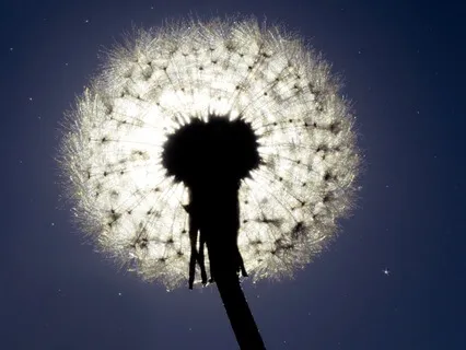 Sleep Meditation Finding Softness | Relax Deeply