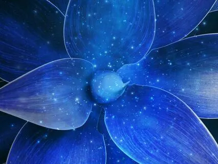 Sleep Meditation For Divine Guidance & Clarity