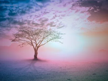 Sleep Meditation For Emotional Healing And Rejuvenation