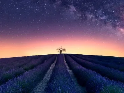 Sleep Practice For Manifestation And Abundance