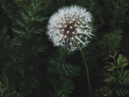 Sleep Practice For Self-Esteem