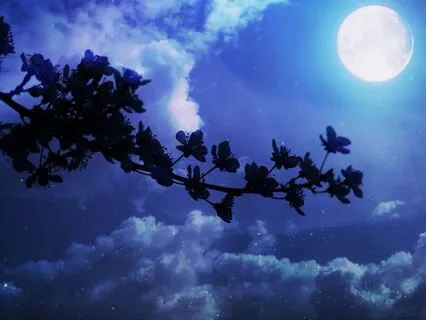 Sleep Meditation For Spring