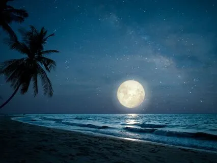 Sleep Meditation For Transformational & Rapid Weight Loss