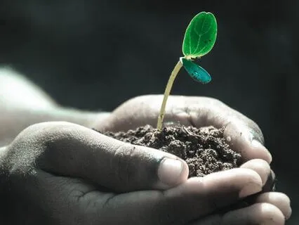 Sleep Meditation: From Darkness Comes Light