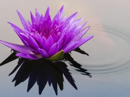 Sleep Meditation: Get Back to Sleep Fast | Sleep Talk Down