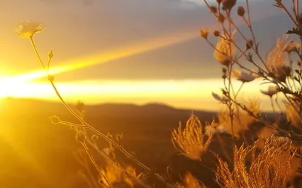 Sleep Meditation - Gratitude