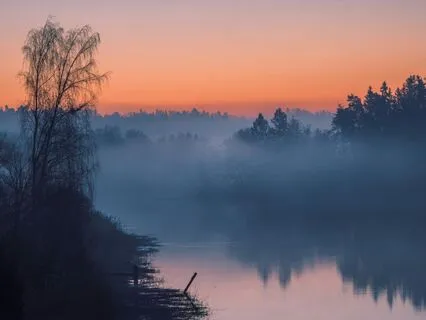 Sleep Meditation: Held By The Earth