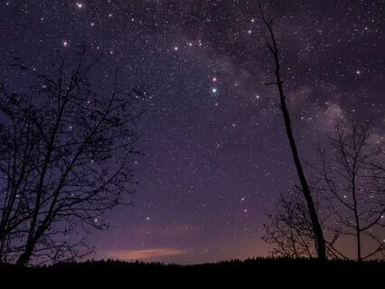 Deep Sleep Meditation: Immune Support