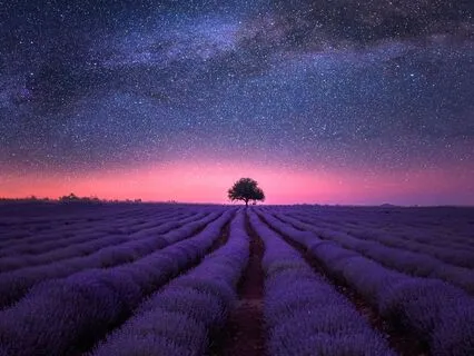 Sleep Meditation Let It Be