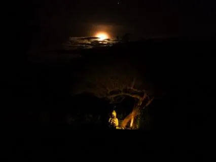 Sleep Meditation - Night In The Maasai Mara