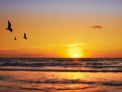 Sleep Meditation: Release Tension And Sleep Well