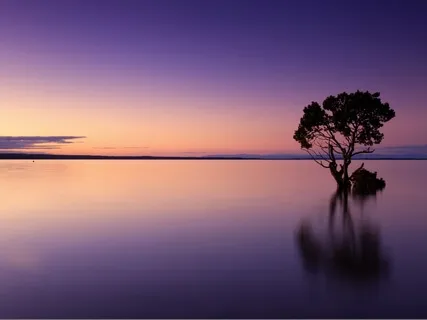 Sleep Meditation: Schumann Resonance, Windstorm & Brainwaves