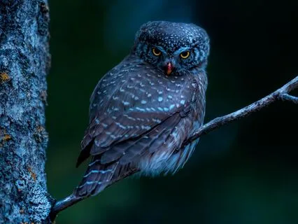 Sleep Meditation - Slow & Deep