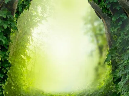 Sleep Meditation Story