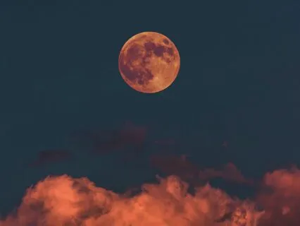 Sleep Meditation: The Whispering Willow