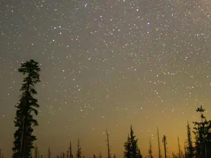 Sleep Meditation To Calm The Nervous System