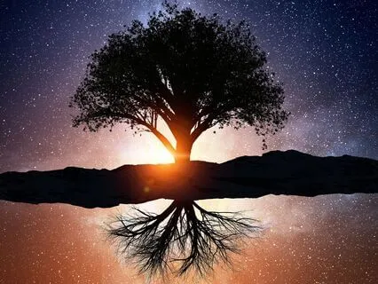 Sleep Meditation To Dissolve Anxiety Heal The Mind And Body