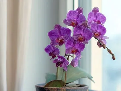 Sleep Meditation To Elevate Your Frequency