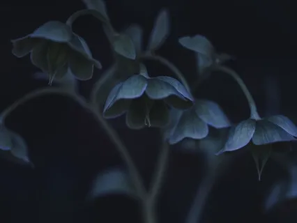 Sleep Meditation To Let Insomnia Go